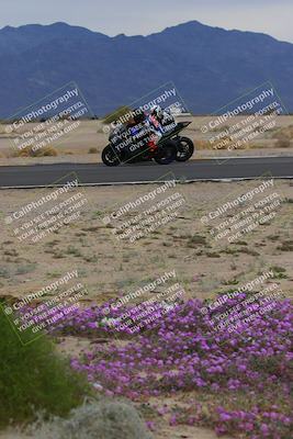 media/Jan-14-2023-SoCal Trackdays (Sat) [[497694156f]]/Turn 14 Exit Bloomig (145pm)/